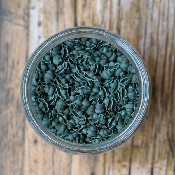 Makaron orkiszowy proteinowy + spirulina Muszelki