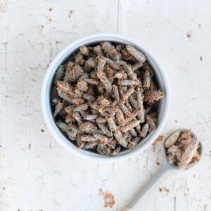 Herbata Pączki Sosny EKO